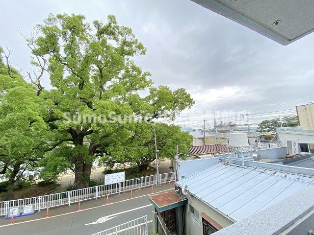 メインステージ武庫川の展望