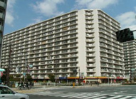 東大島ファミールハイツ１号棟の画像