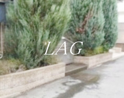 【その他共用部分】 | プランドール・レーブ | 敷地内ゴミ置き場です。