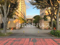 エフユニバースの画像