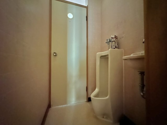 結城市大谷瀬中古物件のトイレ