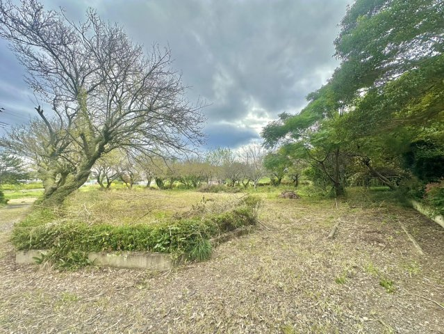 結城市大谷瀬中古物件の庭