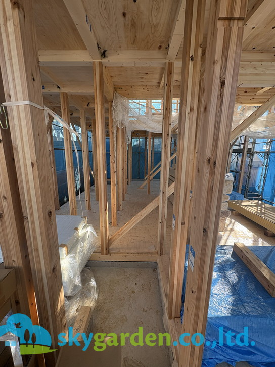 藤沢市打戻　新築戸建　全1棟1号棟の内装