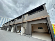 ビダフェリスタカイダの画像