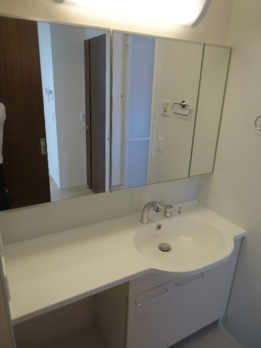 ロイヤル岡崎柱の洗面所