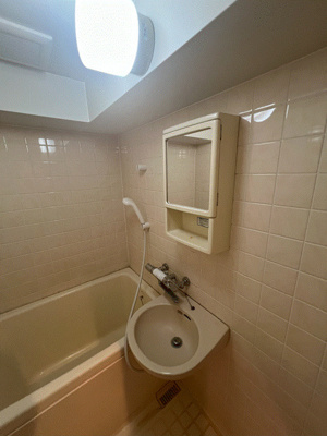 【洗面所】 | シティ上社