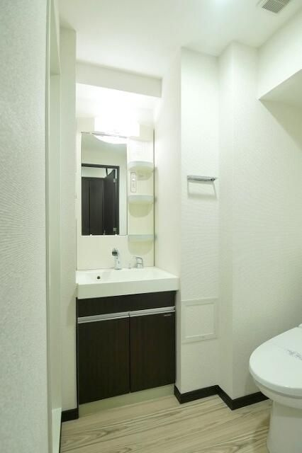 ミルーナヒルズ錦糸町の洗面所