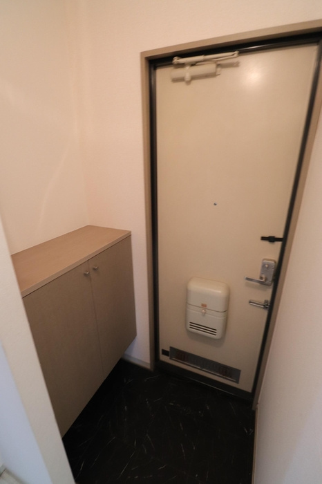 マーサ・リヴェール２の玄関|収納もある玄関です