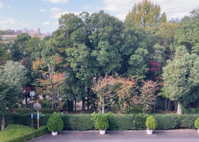 【展望】 | パークサイド南大沢 | 景色重視でお家選ぶをするとスーパーが遠い！学校が遠い！など生活をするうえで利便性で困ることもあります。まず一度現地を見学する際に、周辺の施設などがあるかを確認し、暮らし始めた後のことを想像しましょう。