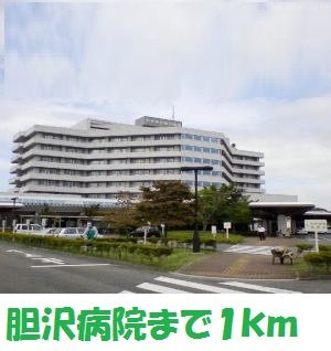 グレンツェンの周辺|県立胆沢病院まで1000m