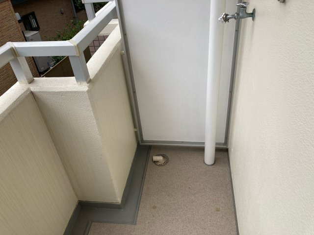 ライジングハラダのその他