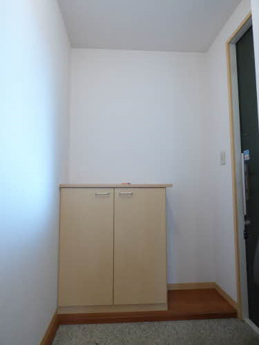 レシデンシア小森野　Ｆ棟の玄関|明るい玄関です