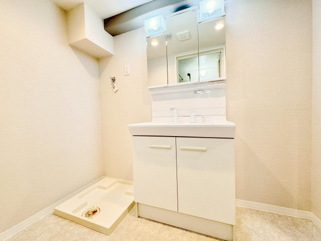 草加スカイハイツの洗面所