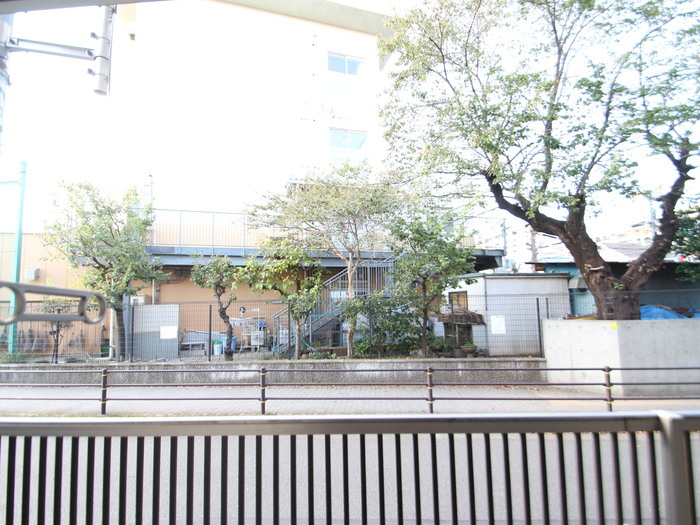 ウィステリアの展望