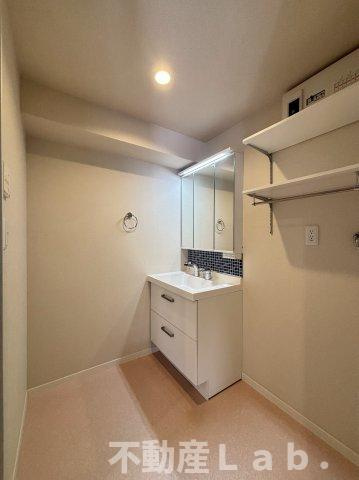 モダニティ八分字　B棟の洗面所