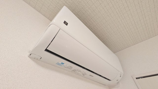【その他】
