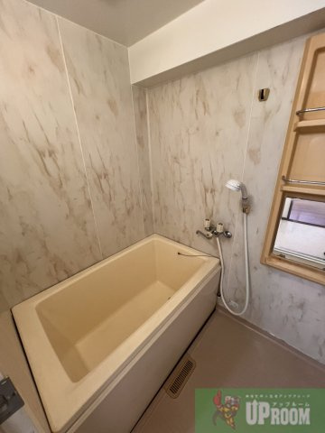 エクセル道風の浴室