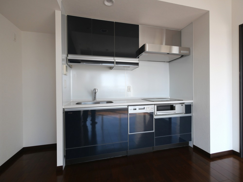 アステリオ北堀江 ザ・メトロタワーのキッチン