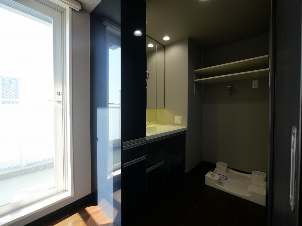 アステリオ北堀江 ザ・メトロタワーの洗面所