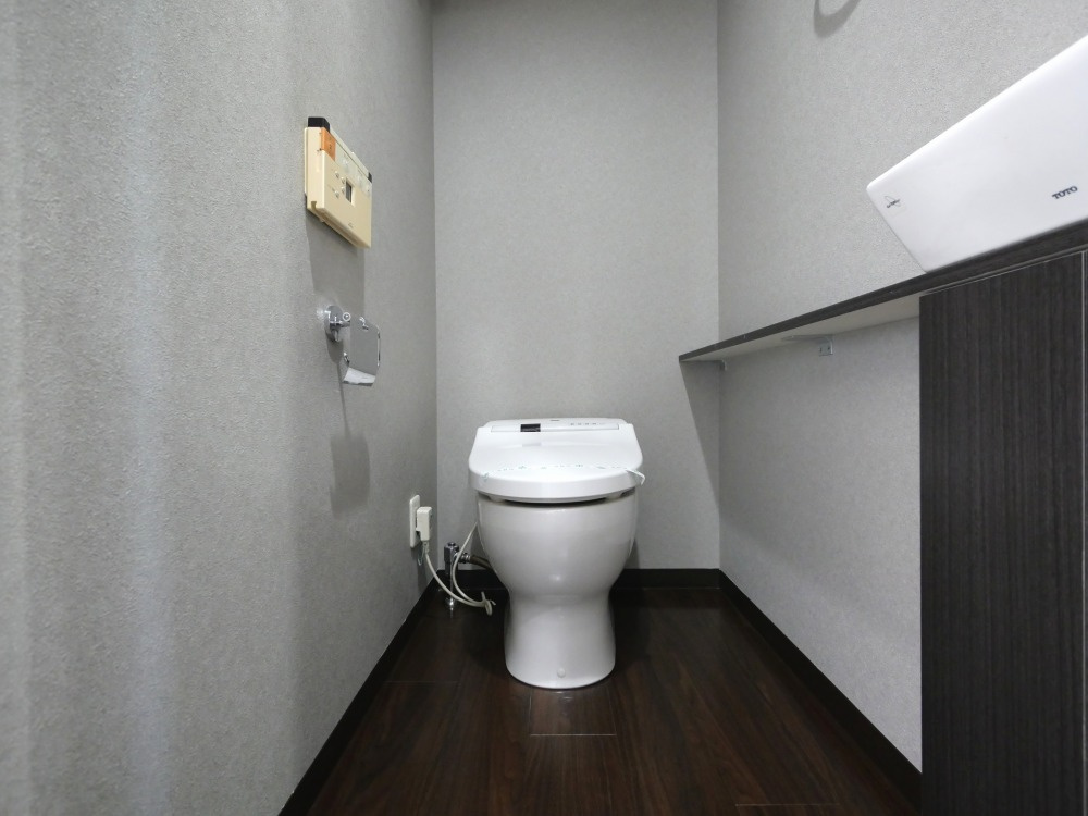 アステリオ北堀江 ザ・メトロタワーのトイレ