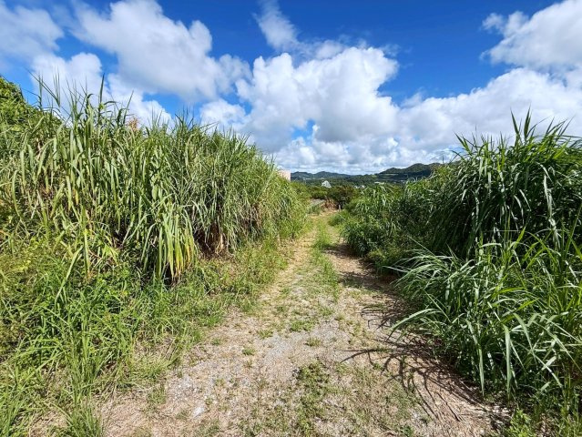 本部町瀬底　売土地のその他