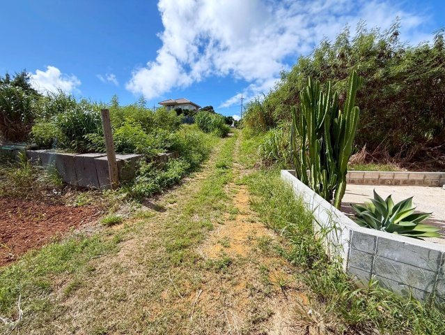 本部町瀬底　売土地のその他