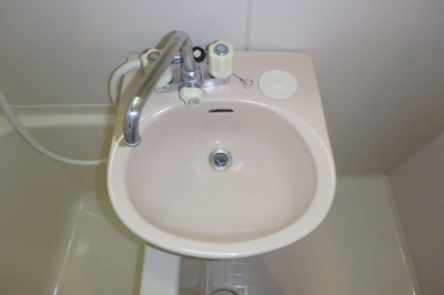 【洗面所】 | パルデンスマグノリア | 他のお部屋の参考写真となります。