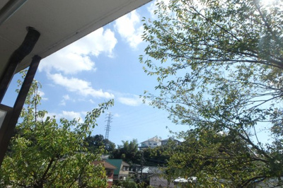 【展望】 | パルデンスマグノリア | 他のお部屋の参考写真となります。