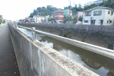 【周辺】 | パルデンスマグノリア