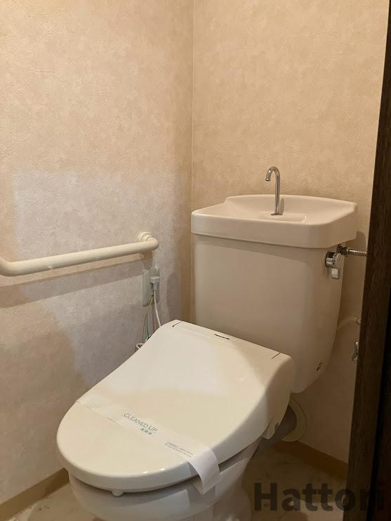 スプリングヒルズⅢのトイレ