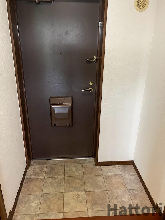 スプリングヒルズⅢの玄関