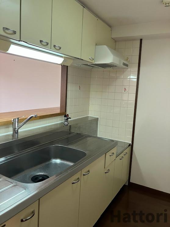 スプリングヒルズⅢのキッチン