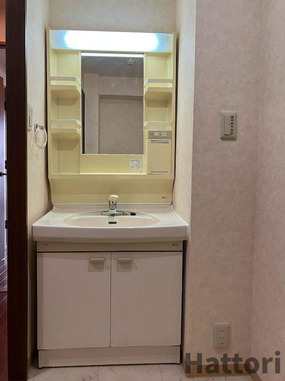 スプリングヒルズⅢの洗面所