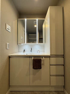 【独立洗面台】スターアーク呉中央爽風邸 