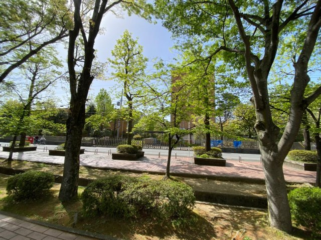 東大路高野第３住宅の周辺