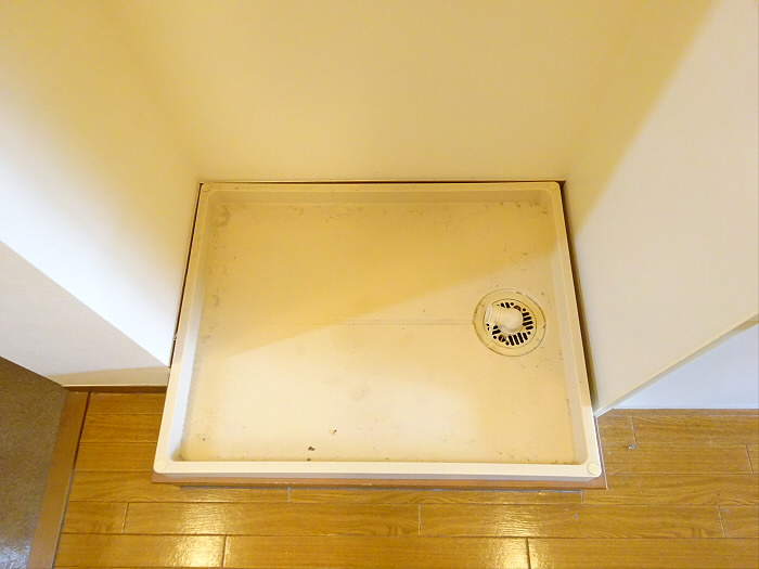 スプリングハイムのその他