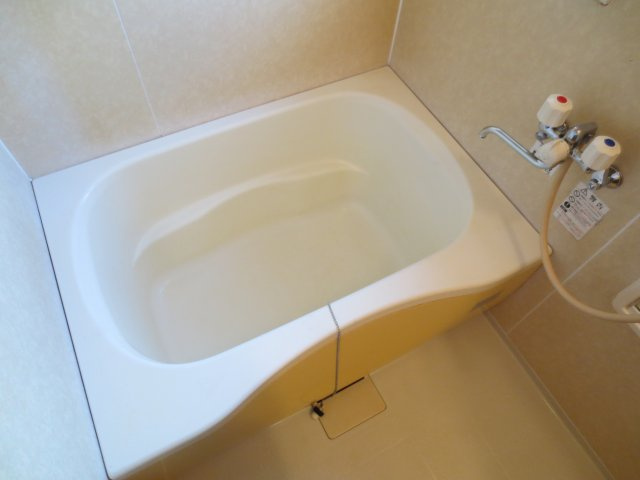 ディアス武蔵浦和の浴室