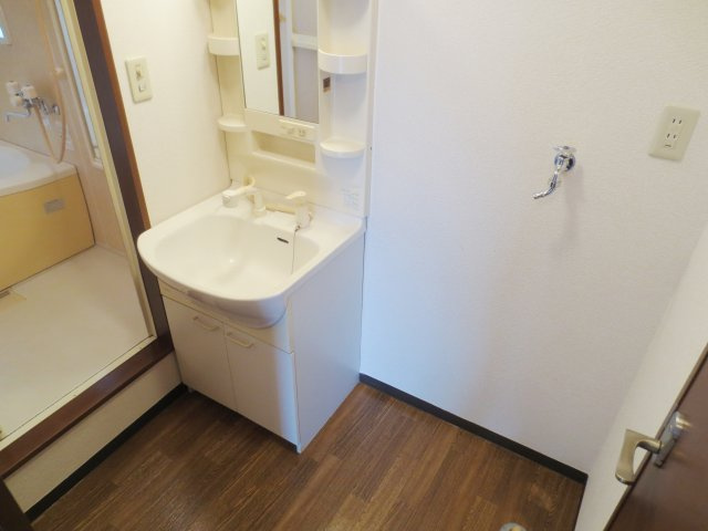 ディアス武蔵浦和の洗面所