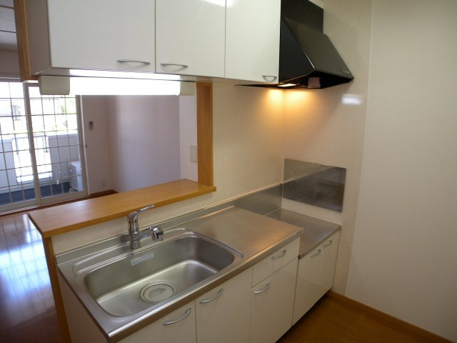 サワーパルシェのキッチン