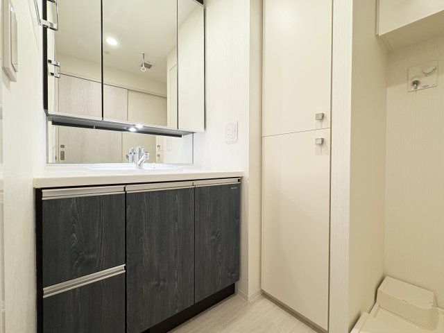 パレステージ墨田立花の独立洗面台