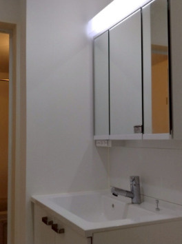 アドバンス舟入南の洗面所