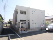 プリムローズの画像