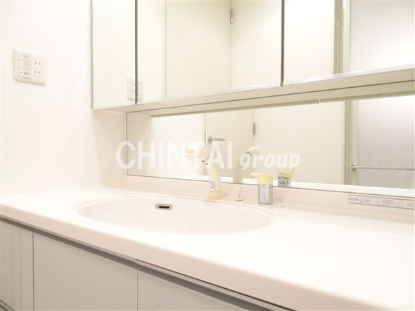 グランド・ガーラ代田橋の洗面所