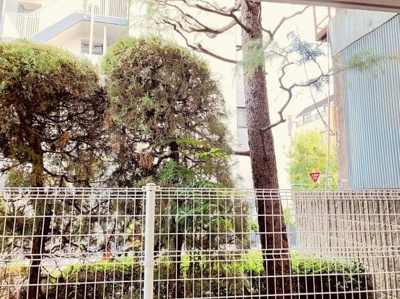 【展望】 | プライムアーバン新宿落合