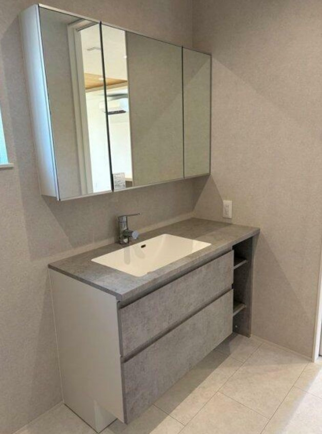 小張戸建の独立洗面台