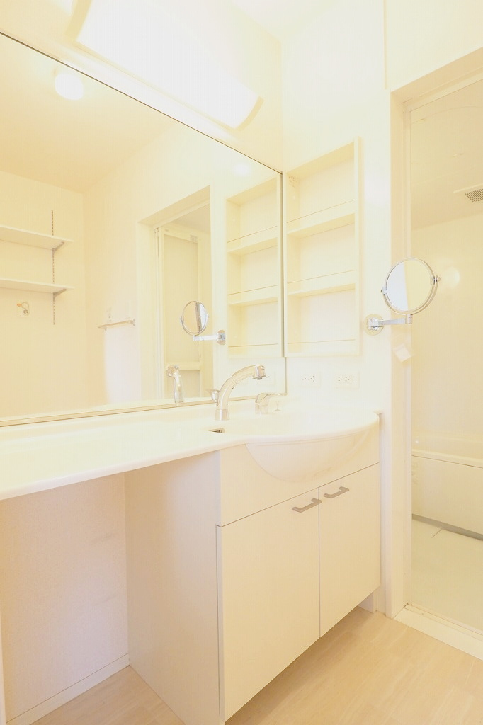 ラクス ナカヤⅡの洗面所