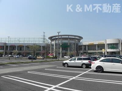 サンシャインビレッジアゼリアＣの周辺|モラージュ柏まで2,300m 