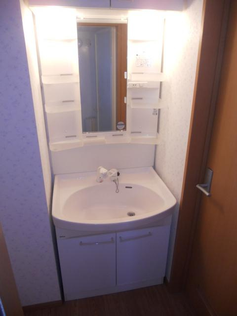 ブラウンコートKの洗面所