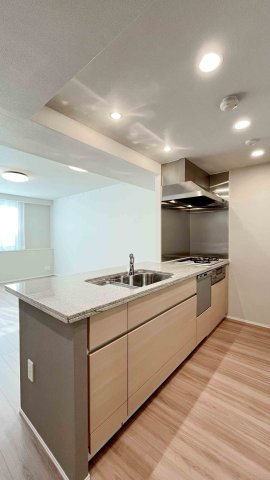 パークテラス宮前平のキッチン