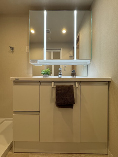 【独立洗面台】藤和シティコープ舟入 